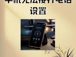 网络电话号码格式怎么设置