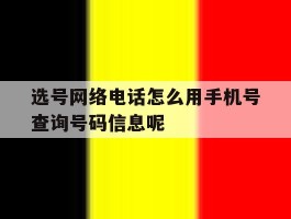 选号网络电话怎么用手机号查询号码信息呢的简单介绍