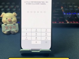 关于手机验证码不小心泄露了怎么办理解锁密码忘了的信息