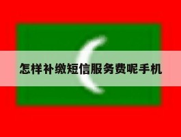 怎样补缴短信服务费呢手机