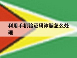 利用手机验证码诈骗怎么处理