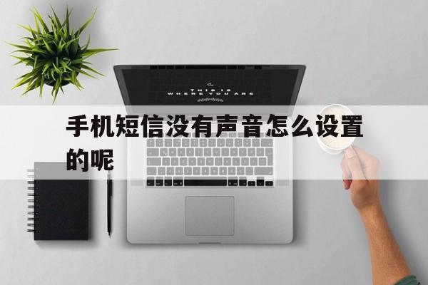 手机短信没有声音怎么设置的呢 手机短信没有声音怎么设置的呢