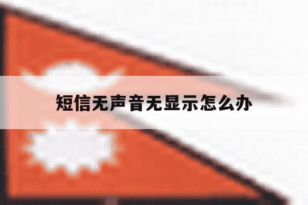 短信无声音无显示怎么办 短信无声音无显示怎么办