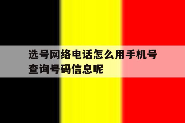 选号网络电话怎么用手机号查询号码信息呢的简单介绍 选号网络电话怎么用手机号查询号码信息呢的简单介绍