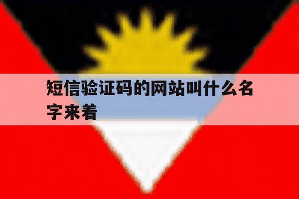 短信验证码的网站叫什么名字来着 短信验证码的网站叫什么名字来着