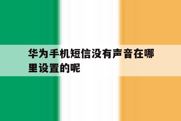 华为手机短信没有声音在哪里设置的呢 华为手机短信没有声音在哪里设置的呢