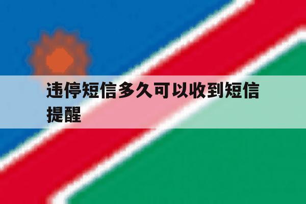 违停短信多久可以收到短信提醒 违停短信多久可以收到短信提醒