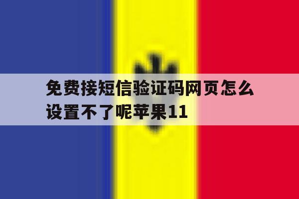 包含免费接短信验证码网页怎么设置不了呢苹果11的词条 包含免费接短信验证码网页怎么设置不了呢苹果11的词条