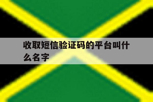 收取短信验证码的平台叫什么名字 收取短信验证码的平台叫什么名字