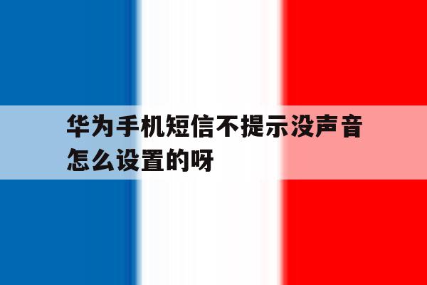 关于华为手机短信不提示没声音怎么设置的呀的信息 关于华为手机短信不提示没声音怎么设置的呀的信息