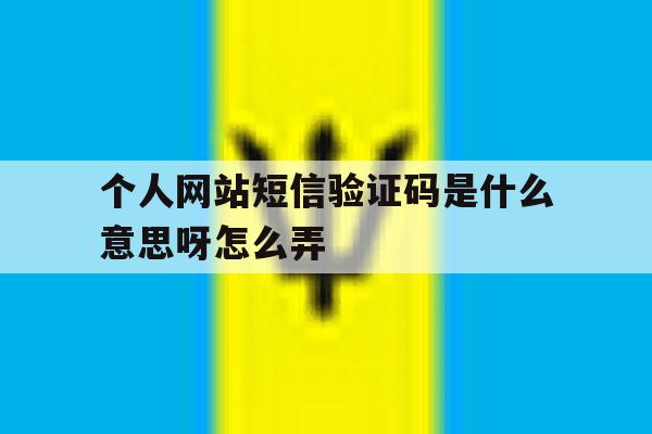 个人网站短信验证码是什么意思呀怎么弄 个人网站短信验证码是什么意思呀怎么弄