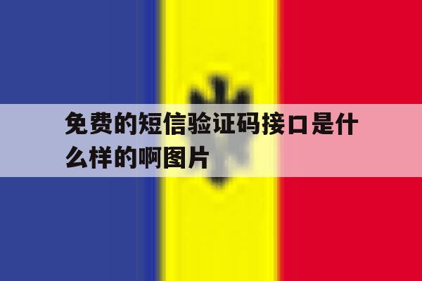 免费的短信验证码接口是什么样的啊图片 免费的短信验证码接口是什么样的啊图片