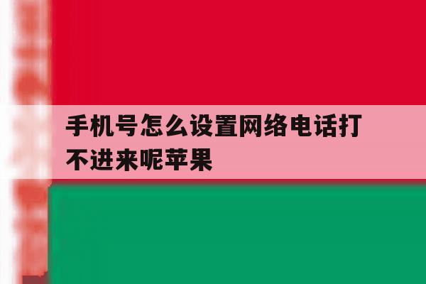 手机号怎么设置网络电话打不进来呢苹果 手机号怎么设置网络电话打不进来呢苹果