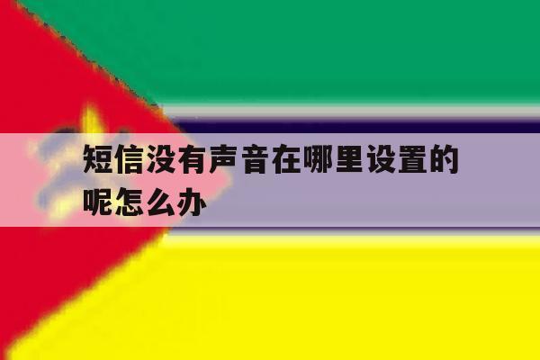 短信没有声音在哪里设置的呢怎么办的简单介绍 短信没有声音在哪里设置的呢怎么办的简单介绍