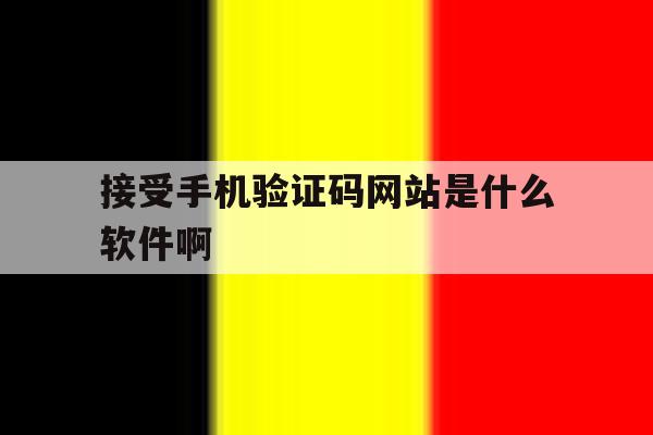 接受手机验证码网站是什么软件啊 接受手机验证码网站是什么软件啊