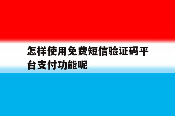 怎样使用免费短信验证码平台支付功能呢的简单介绍 怎样使用免费短信验证码平台支付功能呢的简单介绍