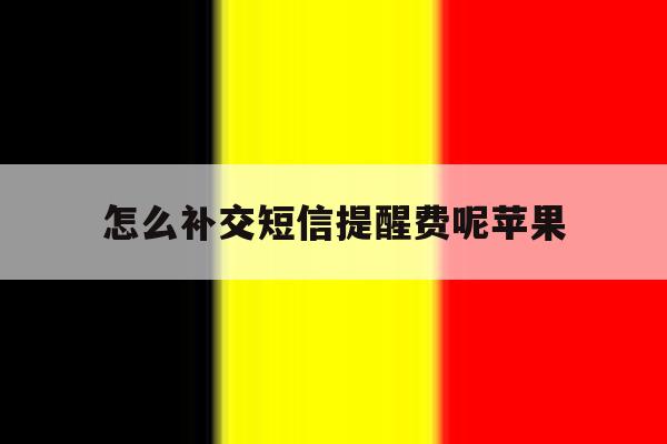 怎么补交短信提醒费呢苹果 怎么补交短信提醒费呢苹果