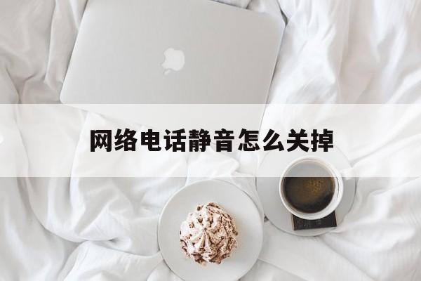 网络电话静音怎么关掉 网络电话静音怎么关掉