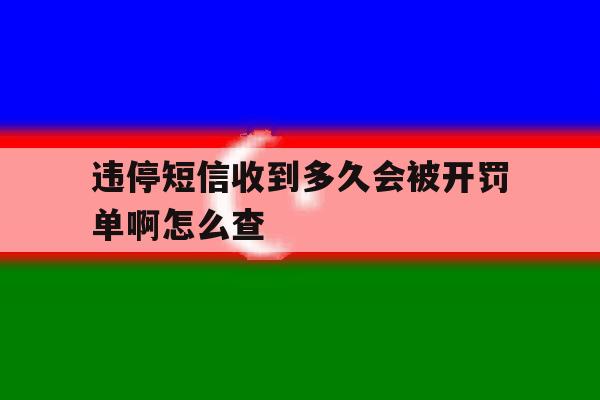 违停短信收到多久会被开罚单啊怎么查 违停短信收到多久会被开罚单啊怎么查