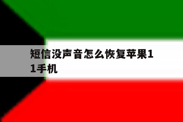 短信没声音怎么恢复苹果11手机 短信没声音怎么恢复苹果11手机