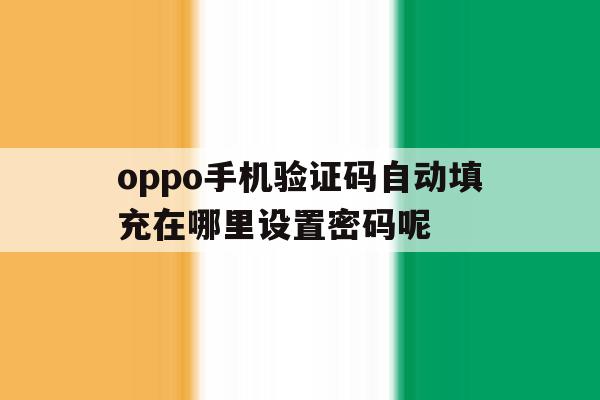 关于oppo手机验证码自动填充在哪里设置密码呢的信息 关于oppo手机验证码自动填充在哪里设置密码呢的信息