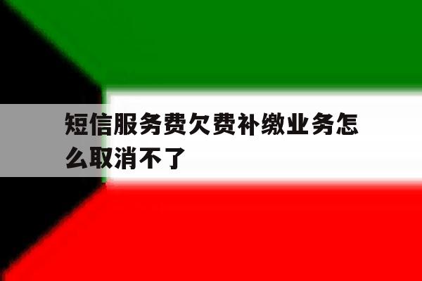 短信服务费欠费补缴业务怎么取消不了 短信服务费欠费补缴业务怎么取消不了